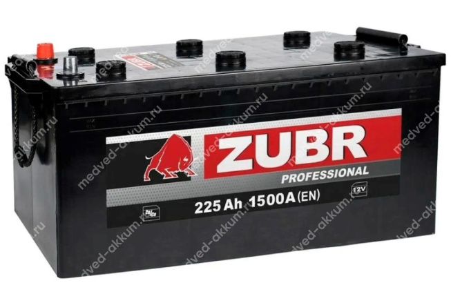 ZUBR Professional 225 Ач евро C