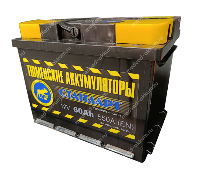 Тюмень Standard 60 Ач пр. L2